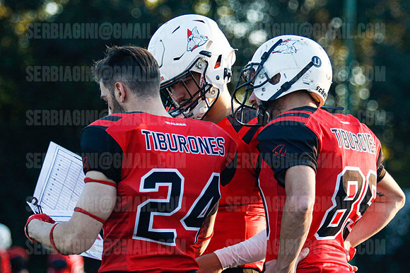 Tiburones_Osos_W3_2024_06A0521