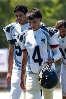 Teros vs Osos Polares 2024