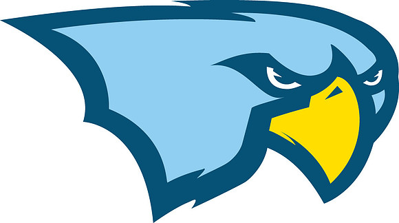 new halcones