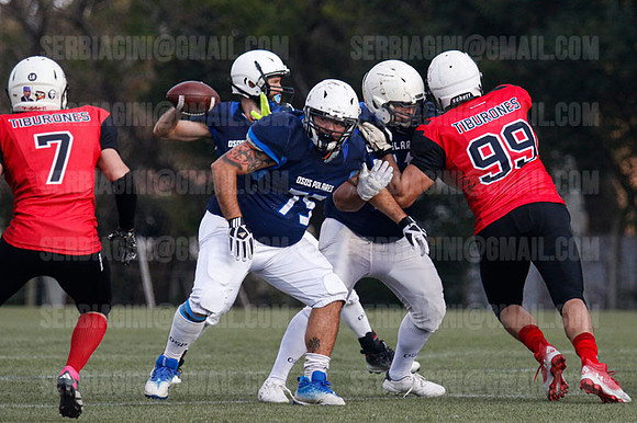 Tiburones_Osos_W3_2024_06A0066